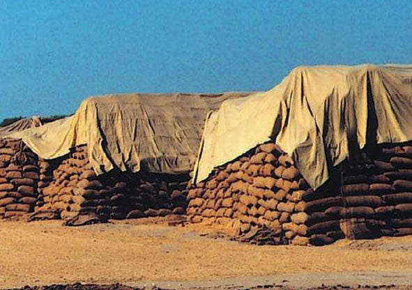 Paddy Selection